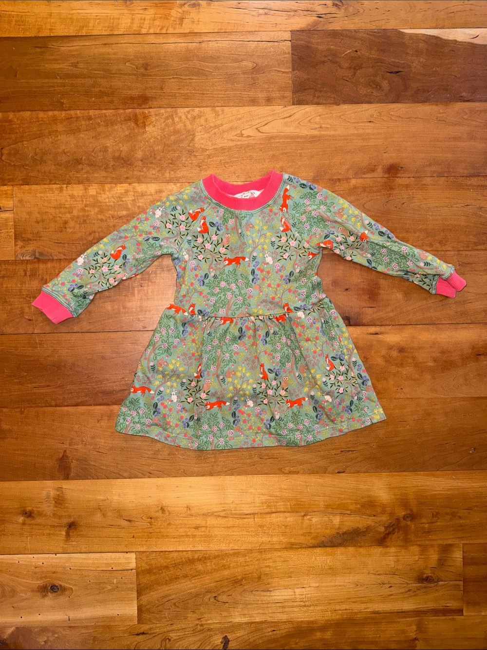 Mini Boden Green Floral Fox Print Dress with Pink Trim - 18-24M